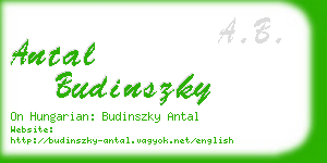 antal budinszky business card
